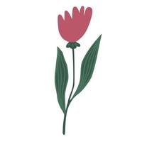 schattige rode bloem geïsoleerd. handgetekende botanische print vector