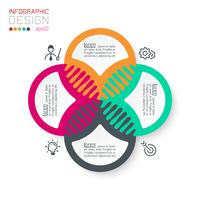 Vier harmonieuze cirkel infographics. vector