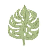 monstera geïsoleerd op een witte achtergrond. abstracte tropische blad groene kleur in doodle stijl. vector