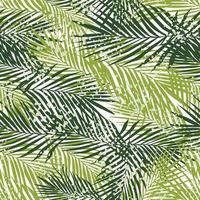exotische varen verlaat naadloos patroon op witte achtergrond. tropisch palmblad behang. vector
