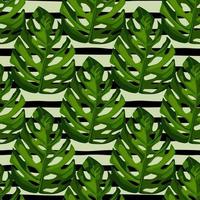 monstera bladeren naadloos patroon. botanische hand tekenen groene elementen op een witte achtergrond met zwarte strips. vector