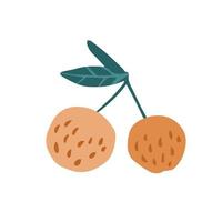 leuke grappige appels in doodle stijl geïsoleerd op een witte achtergrond. met de hand getekend vers biologisch zomerfruit. vector