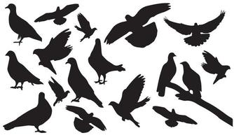 duif vector illustratie ontwerp zwart-wit collectie