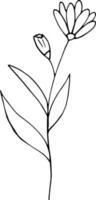 abstracte bloem icoon. hand getrokken doodle. , scandinavisch, noords, minimalisme, zwart-wit. plant, herbarium. vector