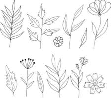 abstracte bloemen en bladeren pictogramserie. hand getrokken doodle. , scandinavisch, noords, minimalisme, zwart-wit. plant, herbarium. vector