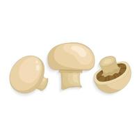 Champignonpaddestoelen set, platte vectorillustratie vector