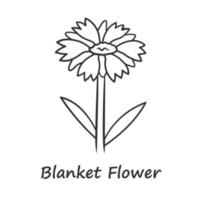 deken bloem lineaire pictogram. gaillardia aristata tuinplant met naam inscriptie. arizona abrikoos bloeiwijze. bloeiende wilde bloem. dunne lijn illustratie. vector geïsoleerde overzichtstekening