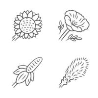 wilde bloemen lineaire pictogrammen instellen. helianthus, Californische klaproos, Mexicaanse hoed, liatris. bloeiende wilde bloemen, onkruid. calflora. lente bloesem. dunne lijn contour symbolen. geïsoleerde vectoroverzichtsillustratie vector