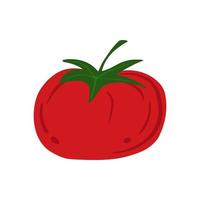tomaat in doodle stijl geïsoleerd op een witte achtergrond. hand getekende cherry tomaten groente. vector