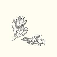saffraan bloem en meeldraden ink schets geïsoleerd. monochroom voedselingrediënt. vector