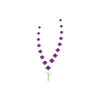 verse lavendel bloem logo vector plat ontwerp