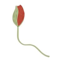 papaver bub geïsoleerd op een witte achtergrond. lentebloemen rood. mooie zomerplanten in doodle-stijl. vector