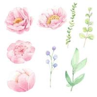 Aquarel roze pioen bloem en groene bladeren elementen geïsoleerd op een witte achtergrond vector