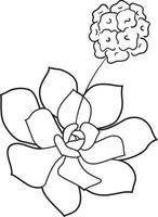 hinahina Hawaiiaanse bloem zwart-wit vector lijn kunst illustratie