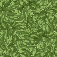 tropisch naadloos patroon willekeurig op groene achtergrond. abstracte textuurdecoratie met bladmonstera echte groene kleur. vector