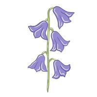 paarse bluebells geïsoleerd op een witte achtergrond. prachtige handgetekende botanische schetsen voor elk doel. vector