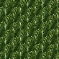 Hawaii naadloze patroon met natuur botanische varen ornament. groene gebladerte tropische elementen. vector
