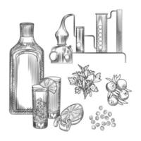 set van gin in de hand getekende stijl op witte background.glasses met gin-tonic cocktail, alembic, koriander, citroenschil. vector