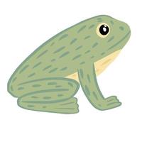 kikker geïsoleerd op een witte achtergrond. schattig karakter in zit pose profiel. grappig tropisch waterreptiel vector