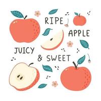 handgetekende appels. doodle stijl. natuurlijke vruchten illustratie voor logo, achtergrond, print, sticker, menu, marktetiket, voedselpakketontwerp en decoratie vector