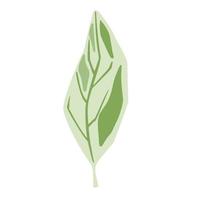 blad groene kleur geïsoleerd op een witte achtergrond. Scandinavische botanische schets hand getrokken in stijl doodle. vector