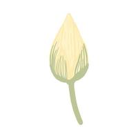 bud lotus geïsoleerd op een witte achtergrond. prachtige handgetekende botanische schetsen voor elk doel. vector