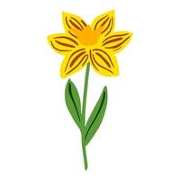 narcis geïsoleerd op een witte achtergrond. mooie handgetekende botanische schetsbloem voor elk doel. vector