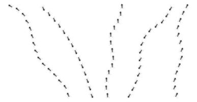 mier trail verschillende richtingen geïsoleerd op een witte achtergrond. een rij mierenkolom marcheren. vector