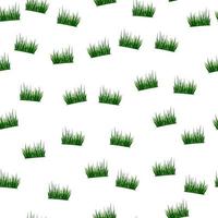 gras naadloos patroon. achtergrond van gazon. vector