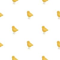 naadloos patroon van kip. huisdieren op kleurrijke achtergrond. vectorillustratie voor textiel. vector