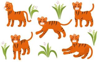 set van schattige tijgers in verschillende poses en bladeren van de plant. geïsoleerde illustratie op een witte achtergrond. voor de kinderkamer. vector