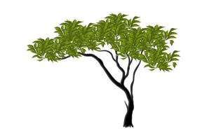 realistische groene uitgestrekte boom geïsoleerd op een witte achtergrond - vector