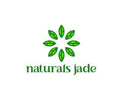 natuurlijk jade-logo. groen edelsteen emerald logo. luxe sieraden en hotellogo vector