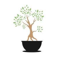 mooie bonsai plant kleurrijk logo symbool vector pictogram illustratie grafisch ontwerp