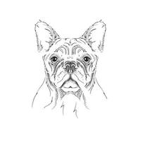 cartoon hond gezicht vector