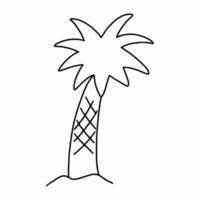 palmboom op witte achtergrond. vectorkrabbelillustratie. vector