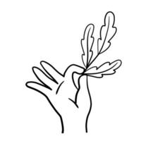 hand met tak met bladeren. verse plant in palm. vector