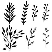set van zwarte hand getrokken doodle bloemen elementen met takken en bladeren geïsoleerd op een witte achtergrond. vector