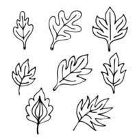 hand getrokken bladeren set geïsoleerd op een witte achtergrond. ontwerpelementen voor het kleurboek voor volwassenen. vector
