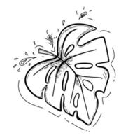 een handgetekend blad van een tropische plant. blad met gaten erin. doodle stijl schets. geïsoleerde vectorillustratie van een monstera vector