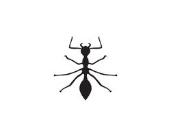 Ant Logo template vector illustratie ontwerp