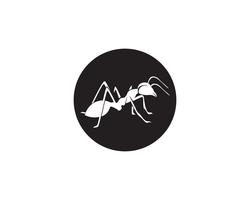 Ant Logo template vector illustratie ontwerp