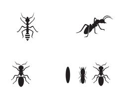 Ant Logo template vector illustratie ontwerp