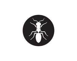 Ant Logo template vector illustratie ontwerp