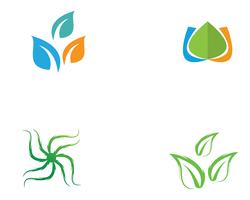 blad groen natuur logo en symbool sjabloon Vector ..