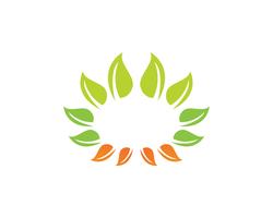 Emblemen van groene Tree leaf-ecologie vector