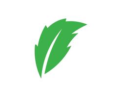 Emblemen van groene Tree leaf-ecologie vector