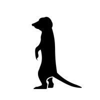 Meerkat pictogram Vector