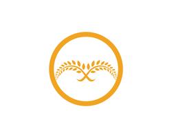 Landbouw tarwe Logo Template vector pictogram ontwerp app