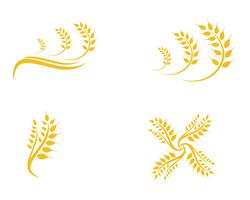 Landbouwtarwe Logo Template vector pictogram ontwerp